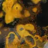 Jaspe Abelha Indonésio: Ornamento de Pedra Natural Polida - 15