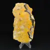 Jaspe Bumblebee - 1