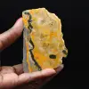 Fatia de Jaspe Abelha Estética - 1