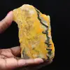 Fatia autêntica de jaspe abelha - 1