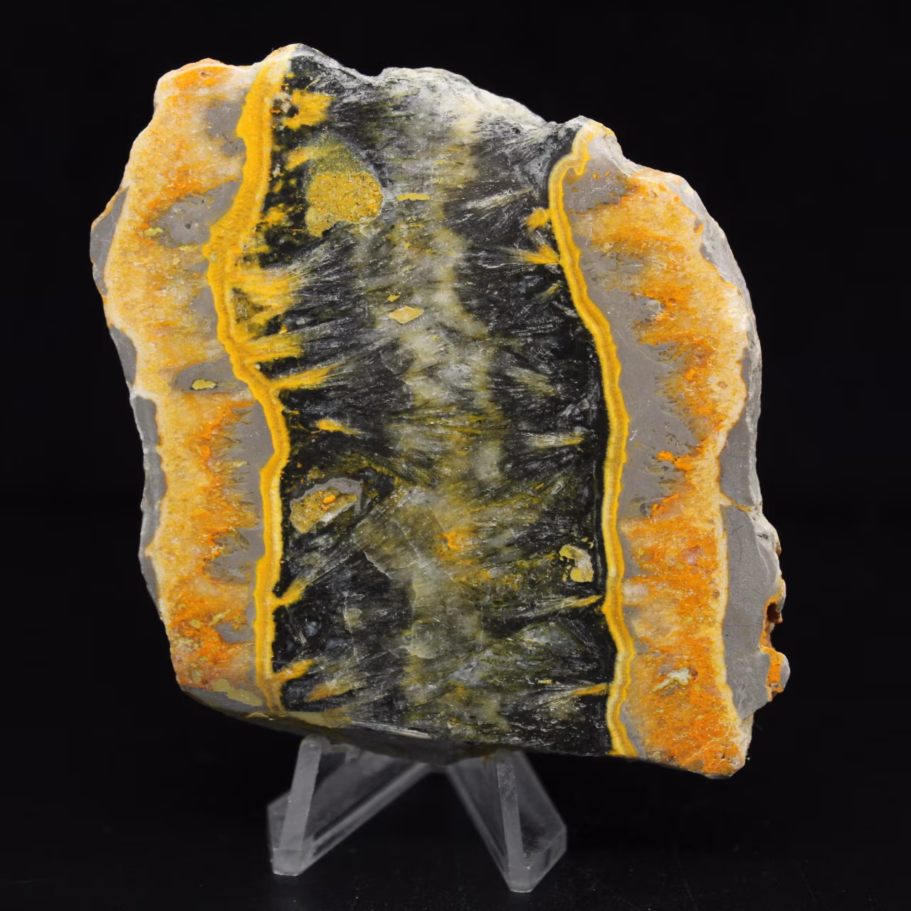 Jaspe Bumblebee: placa sedimentar quadrada