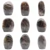 Microclina ornamental - 0