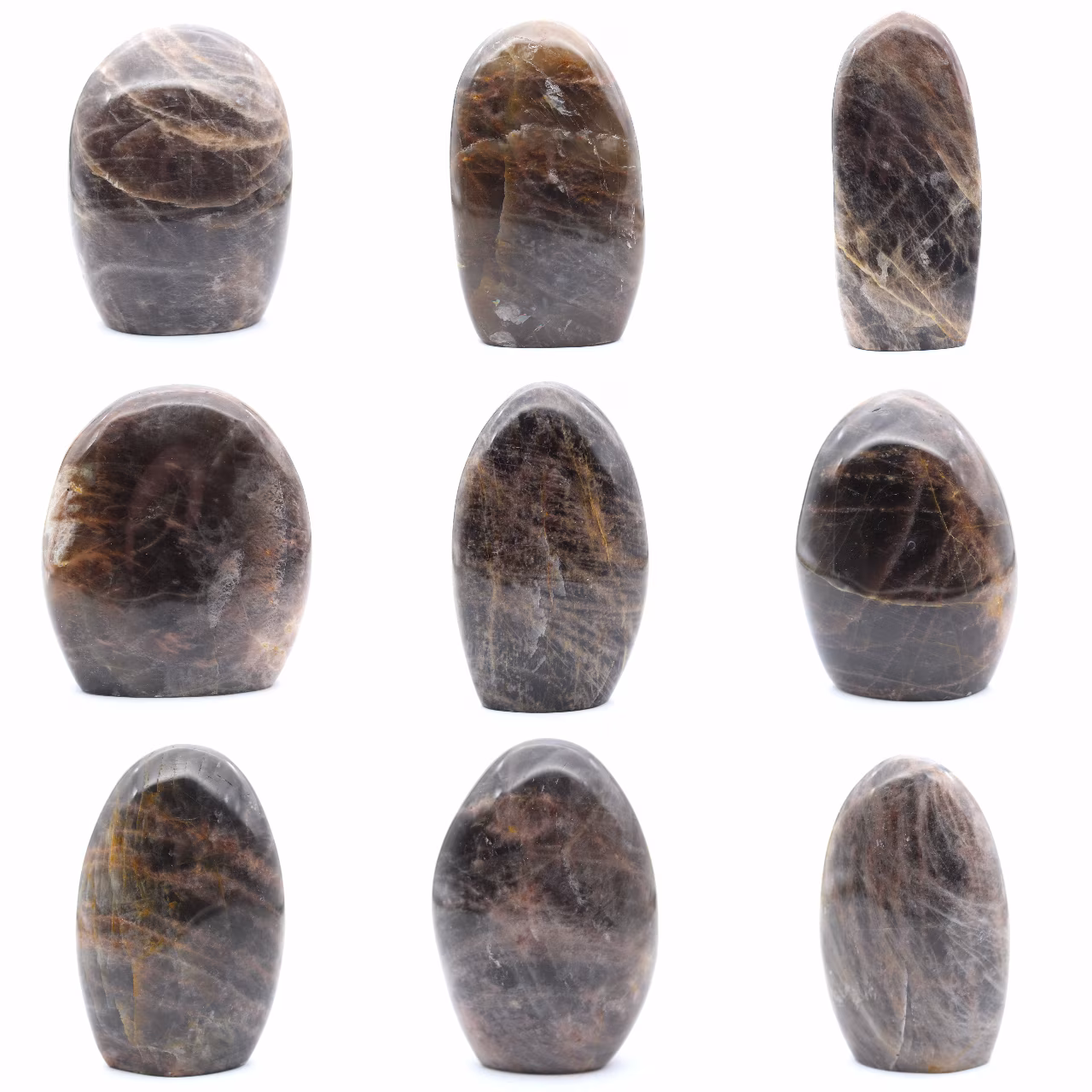 Microclina ornamental