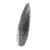 Orthoceras fóssil - 2