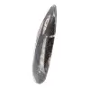 Orthoceras fósseis do Marrocos - 2