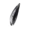 Orthoceras fóssil - 2