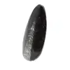 Orthoceras fósseis do Marrocos - 2