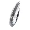 Orthoceras fóssil - 2