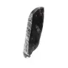 Orthoceras fóssil - 2