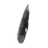 Orthoceras fóssil - 2