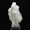 Faden de Cristal do Himalaia - 1