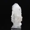 Cristal Faden - 8