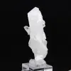 Cristal Faden - 10
