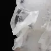 Cristal Faden - 12