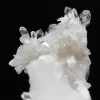Cristal de quartzo Faden na base - 13