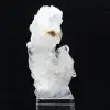 Cristal Faden - 1