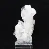 Cristal Faden - 6