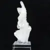Desbotamento de cristal - 1