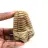 Trilobita fóssil