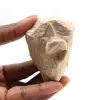 Dente fóssil de Otodus - 0
