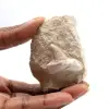 Dente fóssil de Otodus - 0