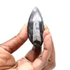 Orthoceras fóssil - 1