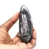 Orthoceras fóssil - 1