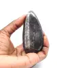 Orthoceras fóssil - 1