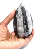 Orthoceras fóssil - 1
