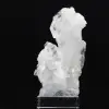 Cristal Faden - 2