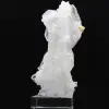 Cristal Faden - 5