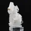 Cristal Faden - 9