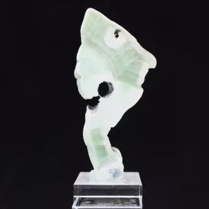 Fatia autêntica e polida de pedra de aragonita verde