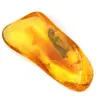 Âmbar amarelo fóssil do Báltico – Seixo autêntico - 2