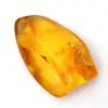 Seixo Âmbar Amarelo – Espécime Báltico, Item Autêntico - 0