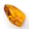 Seixo Âmbar Amarelo – Espécime Báltico, Item Autêntico - 2