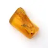 Mini seixo âmbar amarelo do Báltico – fóssil para decoração - 0