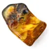 Autêntico seixo de âmbar polido da Lituânia - Espécime de Mineralogia - 2