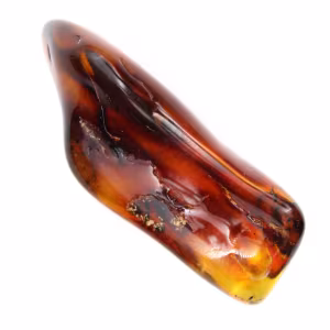Seixo de âmbar polido da Lituânia - Objeto decorativo mineral