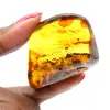 Grande seixo de âmbar lituano polido - Mineral para colecionadores - 1