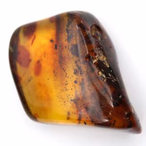 Grande seixo de âmbar lituano polido - Mineral para colecionadores