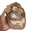 Ornamento de madeira petrificada, fatia polida, item de colecionador, Madagascar - 0