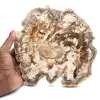 Madeira fossilizada (fatia), ornamento polido, item de colecionador, Madagascar - 0