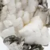 Pequeno espécime de mica em quartzo branco - 7