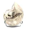 Amonita polida de coleção de Madagascar - Espécime decorativo autêntico - 1