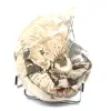 Amonita polida de coleção de Madagascar - Espécime decorativo autêntico - 3