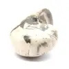 Espécime de amonita de Madagascar - Fóssil polido para colecionadores - 2