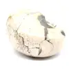 Espécime de amonita de Madagascar - Fóssil polido para colecionadores - 3
