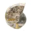 Fóssil de amonita polido de alta qualidade - peça decorativa natural - 1