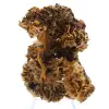 Barita de Ouichane, cristais marrons - 1